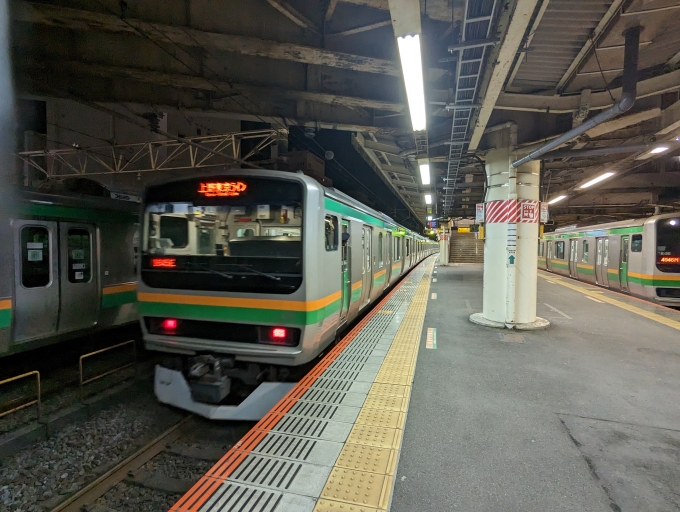 鉄道乗車記録の写真:乗車した列車(外観)(1)        「上野東京ライン(宇都宮線～東海道線)」