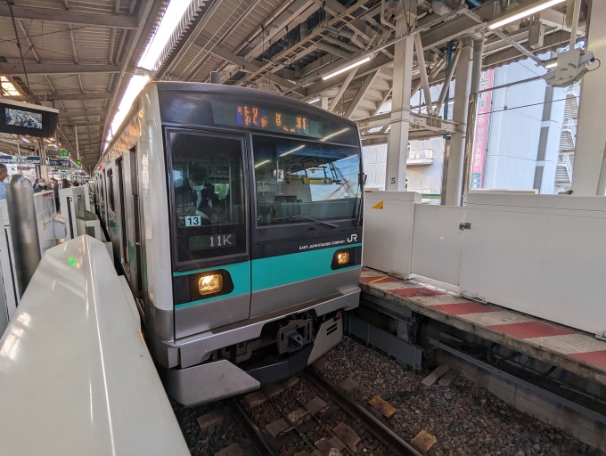 鉄道乗車記録の写真:乗車した列車(外観)(1)          「E233系一般形電車」