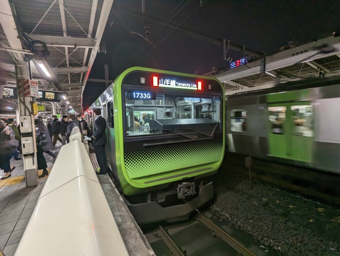 鉄道乗車記録の写真:乗車した列車(外観)(1)        「E235系一般形電車」