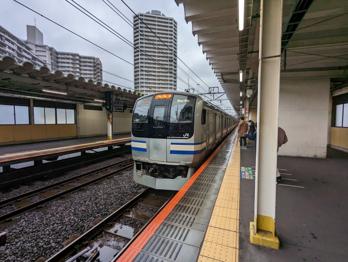 鉄道乗車記録の写真:乗車した列車(外観)(1)          「E217系一般形電車」