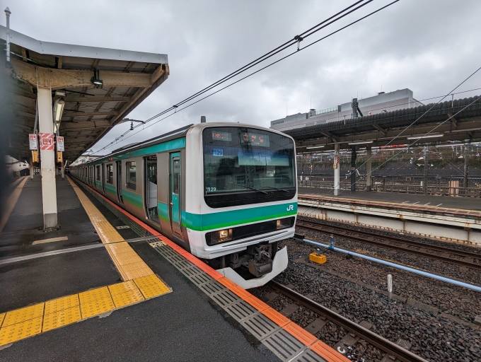 鉄道乗車記録の写真:乗車した列車(外観)(1)        「E231系一般形電車」