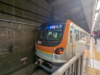 綱島駅から日吉駅の乗車記録(乗りつぶし)写真