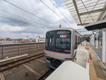 日吉駅から元住吉駅:鉄道乗車記録の写真