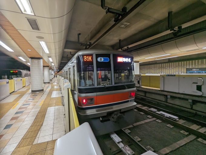 鉄道乗車記録の写真:乗車した列車(外観)(1)          「東急電鉄3000系」