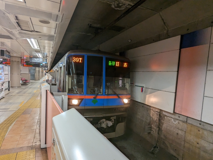 鉄道乗車記録の写真:乗車した列車(外観)(1)        「東京都交通局6300形」