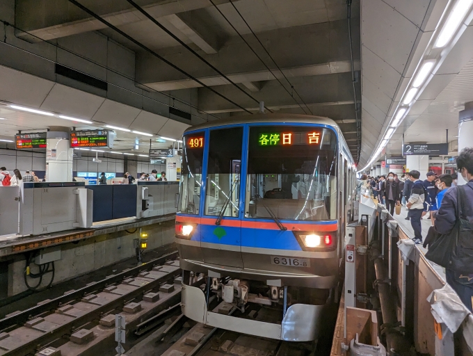 鉄道乗車記録の写真:乗車した列車(外観)(1)          「東京都交通局6300形」