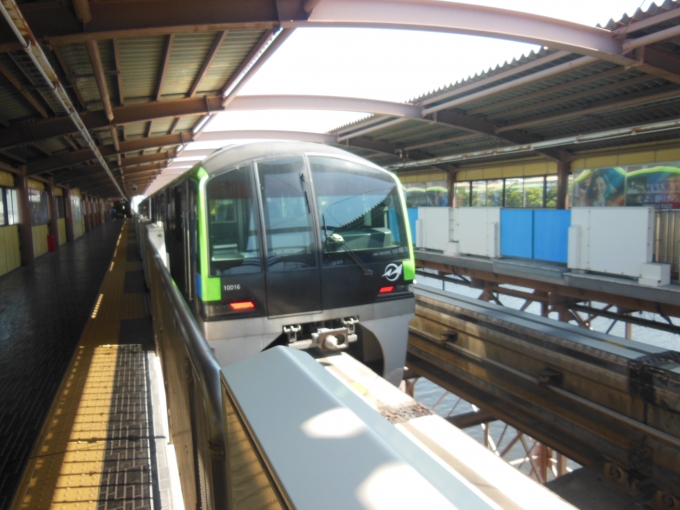 鉄道乗車記録の写真:乗車した列車(外観)(1)          「東京モノレール10000形」