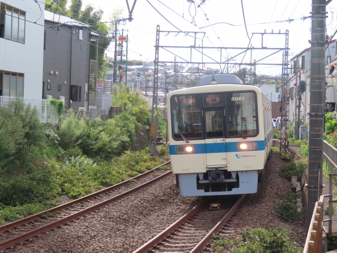 鉄道乗車記録の写真:乗車した列車(外観)(1)          「小田急8000形」