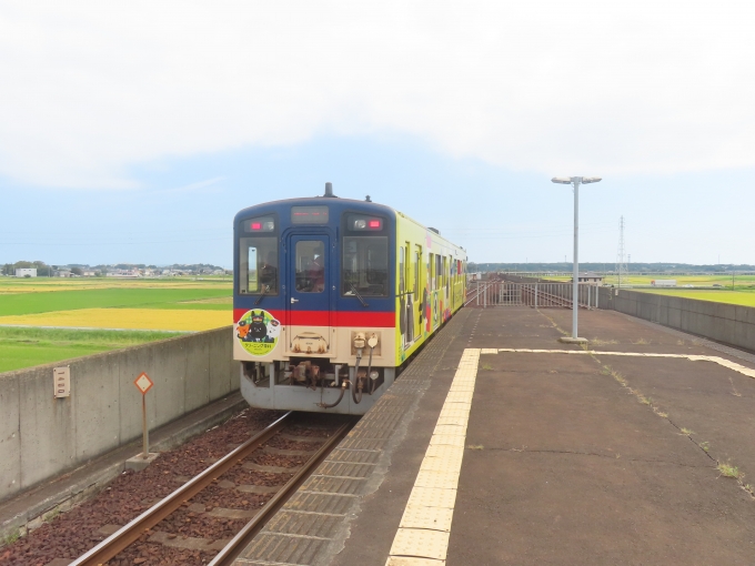 鉄道乗車記録の写真:乗車した列車(外観)(1)          「鹿島臨海鉄道8000形」