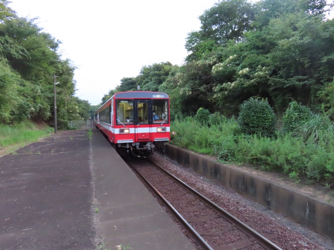鉄道乗車記録の写真:乗車した列車(外観)(1)          「鹿島臨海鉄道6000形」