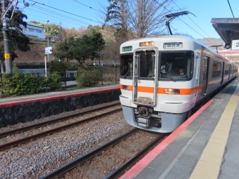 谷峨駅から相模金子駅の乗車記録(乗りつぶし)写真
