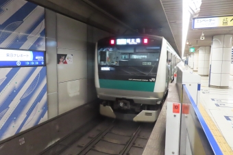 天王洲アイル駅から東京テレポート駅の乗車記録(乗りつぶし)写真
