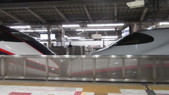 東京駅から琴平駅の乗車記録(乗りつぶし)写真