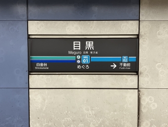 目黒駅から新横浜駅の乗車記録(乗りつぶし)写真