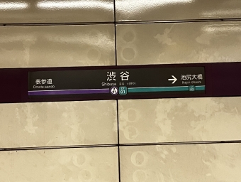 渋谷駅から九段下駅:鉄道乗車記録の写真