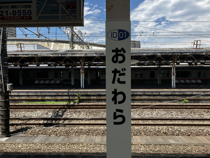 鉄道乗車記録の写真:駅名看板(1)        