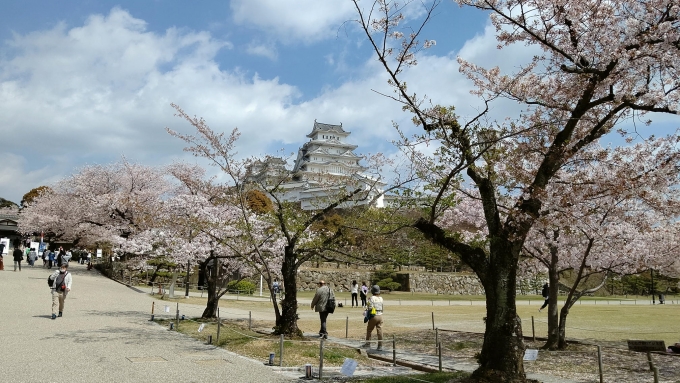 鉄道乗車記録の写真:旅の思い出(3)        「姫路城」