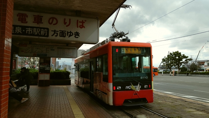 鉄道乗車記録の写真:旅の思い出(16)        「松山の路面電車」