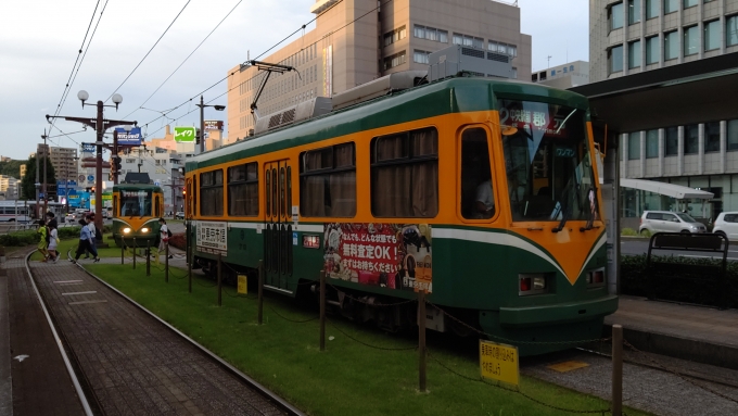 鉄道乗車記録の写真:旅の思い出(9)        「桜島口　路面電車」