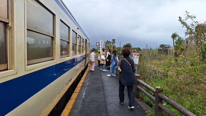 鉄道乗車記録の写真:車窓・風景(1)        「西大山駅のホームと「JR日本最南端の駅」の標識。人気の撮影スポット。あいにく天気が悪かったために、前方に聳える「開聞岳」は望めず。」