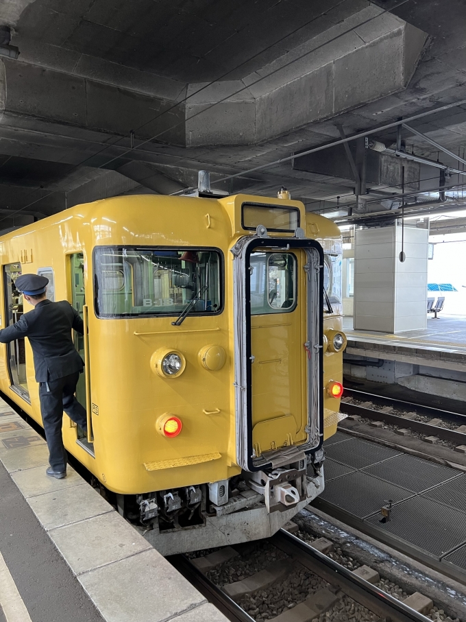 鉄道乗車記録の写真:乗車した列車(外観)(3)        「113系B18編成」