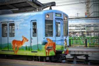 ならしかトレイン！大和西大寺→東花園の乗車記録(乗りつぶし)写真