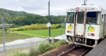 若井駅から中村駅:鉄道乗車記録の写真