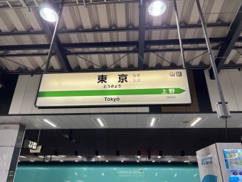 新青森駅から東京駅:鉄道乗車記録の写真