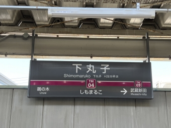 下丸子駅から武蔵新田駅の乗車記録(乗りつぶし)写真