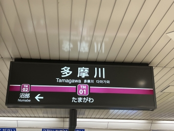 多摩川駅から沼部駅の乗車記録(乗りつぶし)写真
