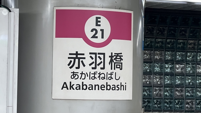 鉄道乗車記録の写真:駅名看板(2)        