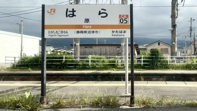 鉄道乗車記録の写真:駅名看板(1)          