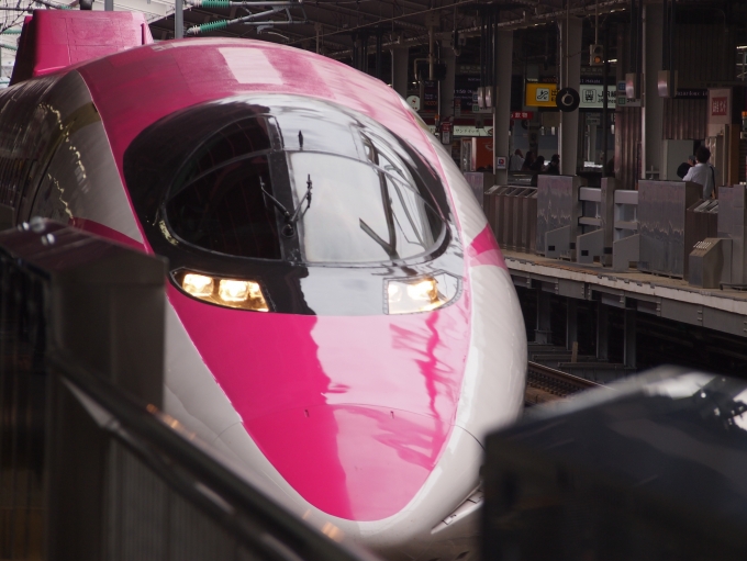 鉄道乗車記録の写真:乗車した列車(外観)(1)        「ピンクのあいつに乗車」