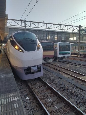 東京駅から勝田駅の乗車記録(乗りつぶし)写真