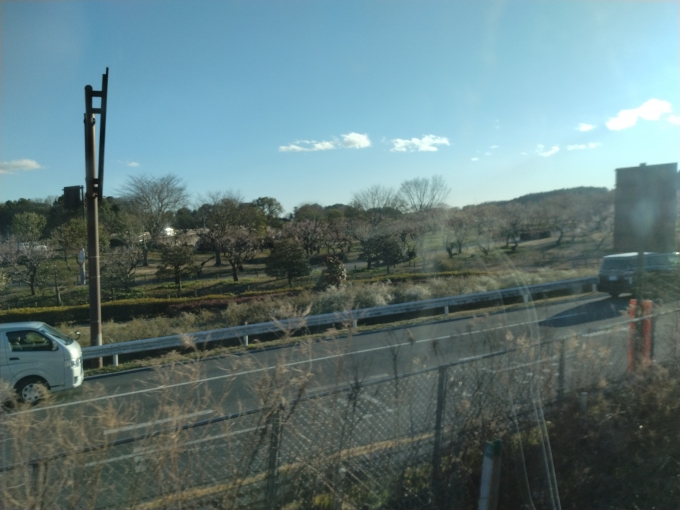 鉄道乗車記録の写真:車窓・風景(2)     「梅は…ちょっと遅かったか…」