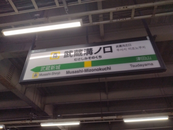 分倍河原駅から武蔵溝ノ口駅の乗車記録(乗りつぶし)写真