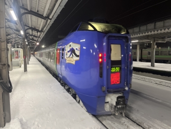 砂川駅から岩見沢駅の乗車記録(乗りつぶし)写真