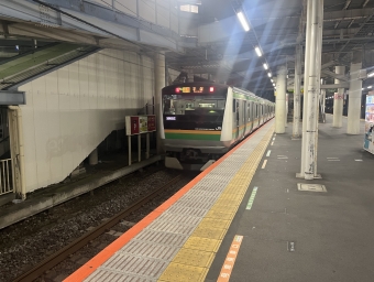 東京駅から辻堂駅の乗車記録(乗りつぶし)写真