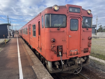 林駅から新高岡駅:鉄道乗車記録の写真