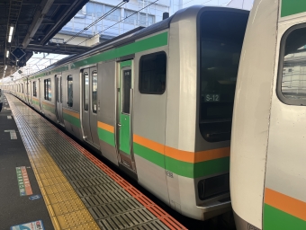 辻堂駅から大船駅の乗車記録(乗りつぶし)写真