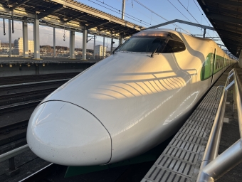 那須塩原駅から小山駅の乗車記録(乗りつぶし)写真