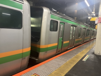 新宿駅から辻堂駅の乗車記録(乗りつぶし)写真