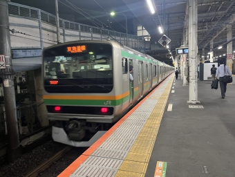 東京駅から辻堂駅:鉄道乗車記録の写真