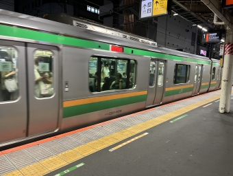 新宿駅から辻堂駅:鉄道乗車記録の写真
