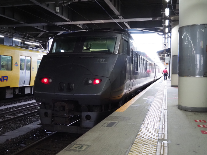 大黒様 787系 BO110編成 (大分鉄道事業部 大分車両センター) 徹底ガイド