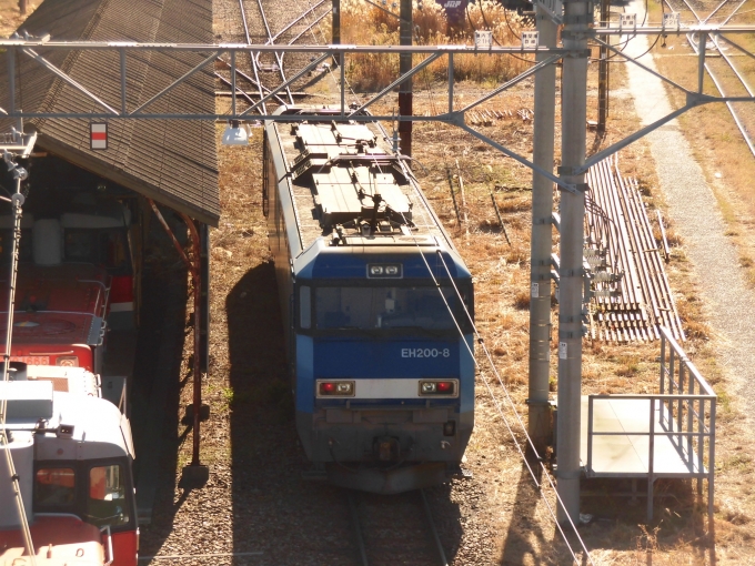 鉄道乗車記録の写真:列車・車両の様子(未乗車)(2)        「新鶴見機関区で機回しするEH200－8です。」