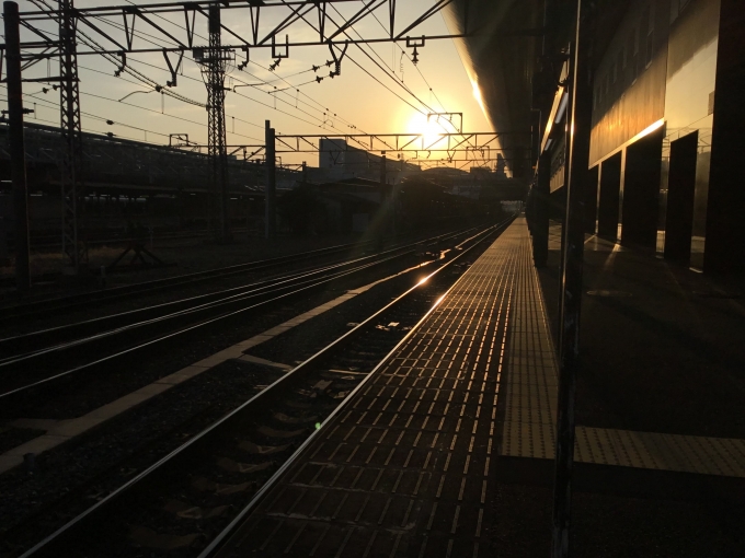 鉄道乗車記録の写真:駅舎・駅施設、様子(1)     「京都駅名物「日本一長いホーム」の０番線を歩き通すために端に行き、そこで撮りました。
夕日でホームが光る風景が様になっています。」
