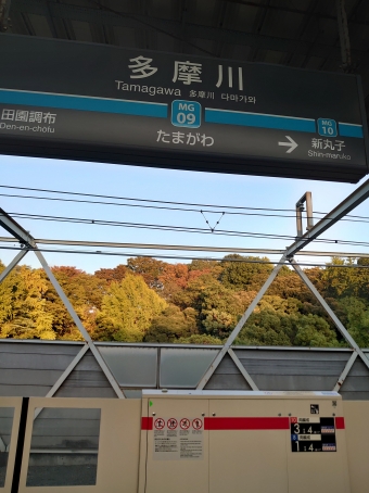 目黒駅から多摩川駅:鉄道乗車記録の写真