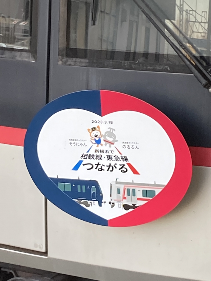鉄道乗車記録の写真:ヘッドマーク(2)        「相鉄・東急新横浜線開業記念のヘッドマーク（拡大ver）」