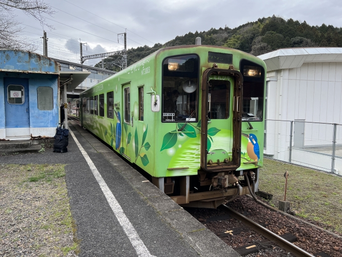鉄道乗車記録の写真:乗車した列車(外観)(1)        「NT3003こもれび号」